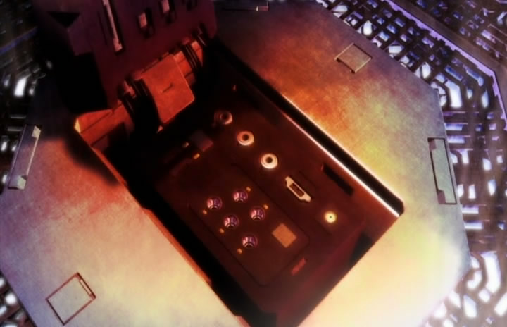 functions of the cell membrane