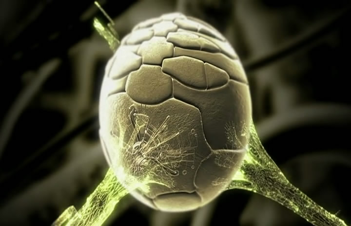 mobile check cashing