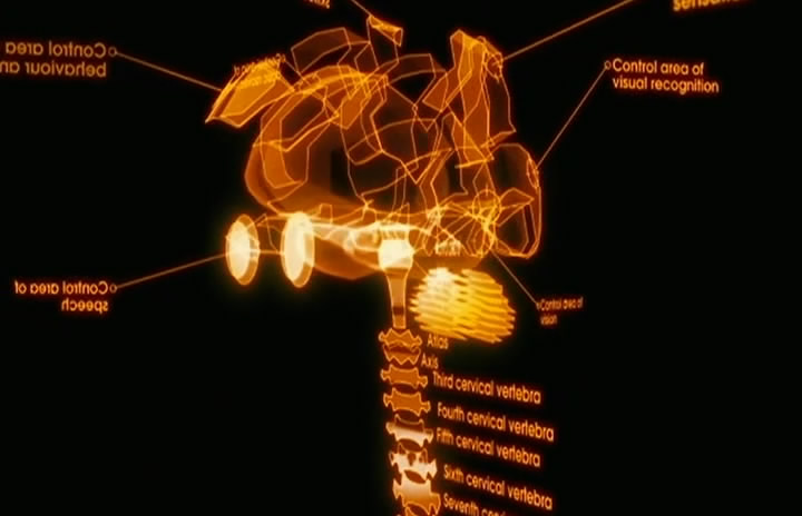 code mp3 to ringtone gold
