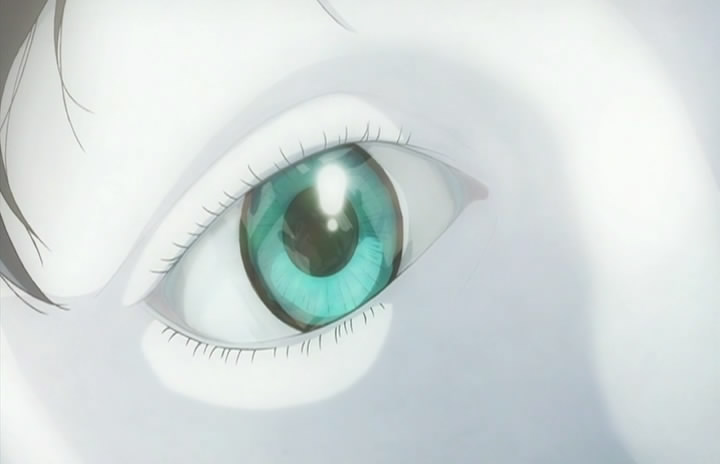 functions of the cell membrane
